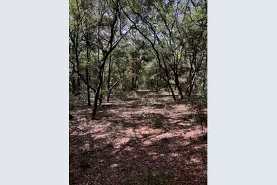 4195 Whippoorwill Drive, Holt, FL 32564 - Photo 21