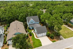 103 Jack Knife Drive, Inlet Beach, FL 32461 - Photo 51