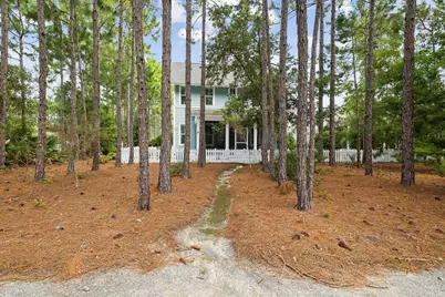 103 Jack Knife Drive, Inlet Beach, FL 32461 - Photo 59