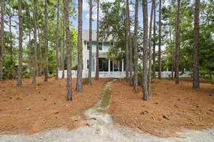 103 Jack Knife Drive, Inlet Beach, FL 32461 - Photo 57
