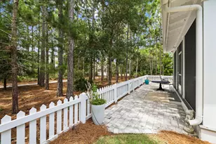 103 Jack Knife Drive, Inlet Beach, FL 32461 - Photo 49