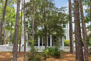 103 Jack Knife Drive, Inlet Beach, FL 32461 - Photo 59