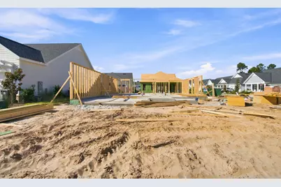 Tbd Green Heron Street #Lot 68, Watersound, FL 32461 - Photo 15