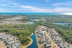 165 Needle Cast Ln, Watersound, FL 32461 - Photo 53
