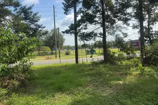 316 Merlin Ct, Crestview, FL 32539 - Photo 39