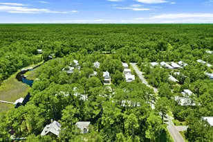 36 Days Ln, Santa Rosa Beach, FL 32459 - Photo 51