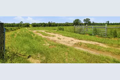 520 Acres US Hwy 331 N, Defuniak Springs, FL 32433 - Photo 17