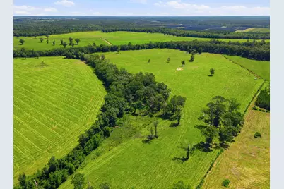 520 Acres US Hwy 331 N, Defuniak Springs, FL 32433 - Photo 51