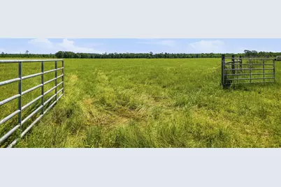 520 Acres US Hwy 331 N, Defuniak Springs, FL 32433 - Photo 7