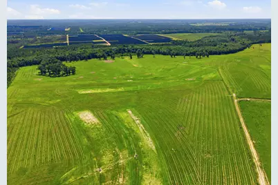 520 Acres US Hwy 331 N, Defuniak Springs, FL 32433 - Photo 37