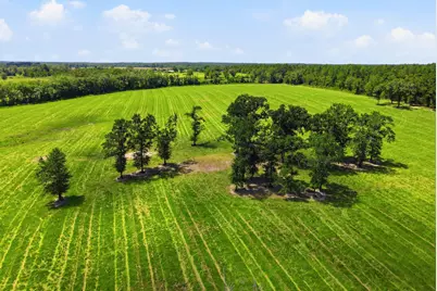 520 Acres US Hwy 331 N, Defuniak Springs, FL 32433 - Photo 65