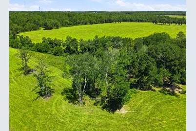 520 Acres US Hwy 331 N, Defuniak Springs, FL 32433 - Photo 59