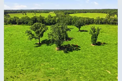 520 Acres US Hwy 331 N, Defuniak Springs, FL 32433 - Photo 39