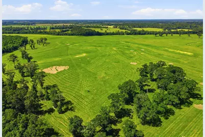 520 Acres US Hwy 331 N, Defuniak Springs, FL 32433 - Photo 33