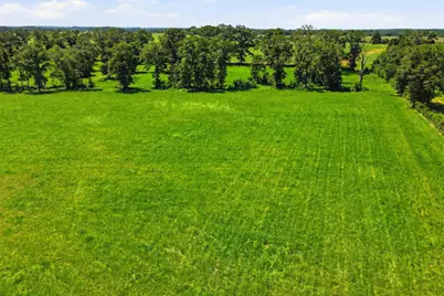 520 Acres US Hwy 331 N, Defuniak Springs, FL 32433 - Photo 47