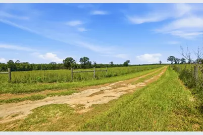 520 Acres US Hwy 331 N, Defuniak Springs, FL 32433 - Photo 9