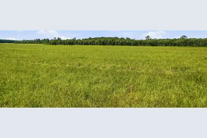 520 Acres US Hwy 331 N, Defuniak Springs, FL 32433 - Photo 23
