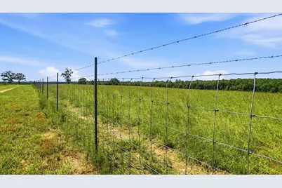 520 Acres US Hwy 331 N, Defuniak Springs, FL 32433 - Photo 13