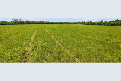 520 Acres US Hwy 331 N, Defuniak Springs, FL 32433 - Photo 19