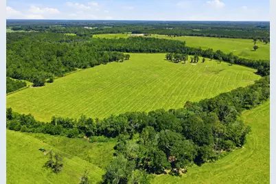 520 Acres US Hwy 331 N, Defuniak Springs, FL 32433 - Photo 49