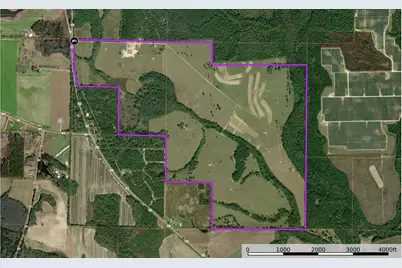 520 Acres US Hwy 331 N, Defuniak Springs, FL 32433 - Photo 3