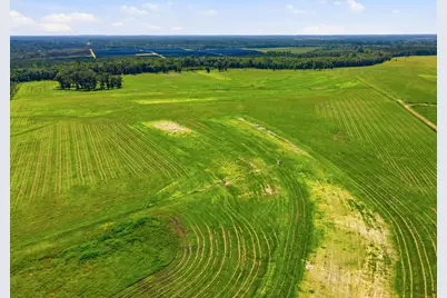 520 Acres US Hwy 331 N, Defuniak Springs, FL 32433 - Photo 35
