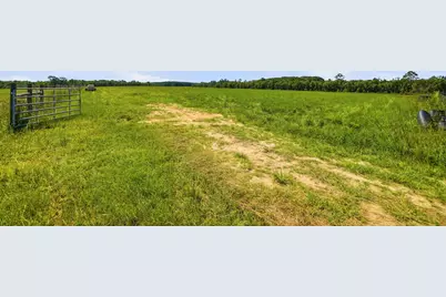 520 Acres US Hwy 331 N, Defuniak Springs, FL 32433 - Photo 15