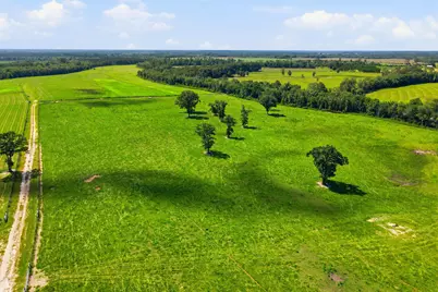 520 Acres US Hwy 331 N, Defuniak Springs, FL 32433 - Photo 27