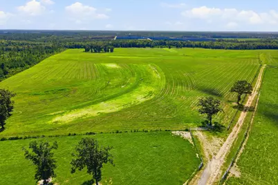 520 Acres US Hwy 331 N, Defuniak Springs, FL 32433 - Photo 29