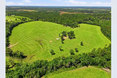 520 Acres US Hwy 331 N, Defuniak Springs, FL 32433 - Photo 53