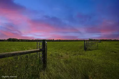 520 Acres US Hwy 331 N, Defuniak Springs, FL 32433 - Photo 5