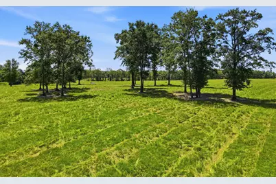 520 Acres US Hwy 331 N, Defuniak Springs, FL 32433 - Photo 63