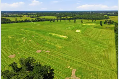 520 Acres US Hwy 331 N, Defuniak Springs, FL 32433 - Photo 31