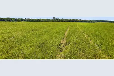 520 Acres US Hwy 331 N, Defuniak Springs, FL 32433 - Photo 21