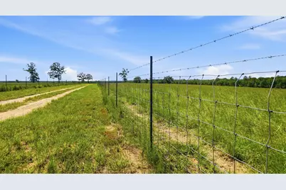 520 Acres US Hwy 331 N, Defuniak Springs, FL 32433 - Photo 11