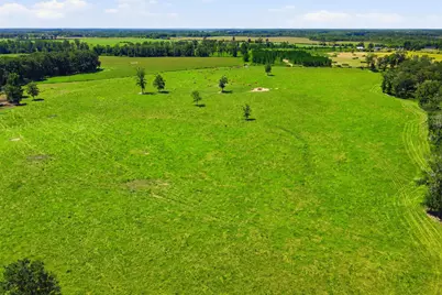 520 Acres US Hwy 331 N, Defuniak Springs, FL 32433 - Photo 55
