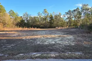 122 Alicia Dr, Crestview, FL 32536 - Photo 1