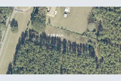 1.06 Ac N Hwy 85, Laurel Hill, FL 32567 - Photo 1