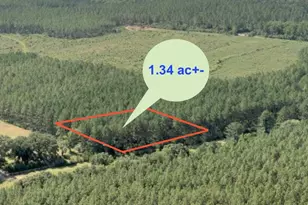 1 34 Acres N Hwy 85, Laurel Hill, FL 32567 - Photo 1