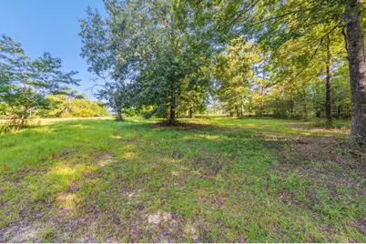 512 Hickory Tree Lane, Crestview, FL 32539 - Photo 17