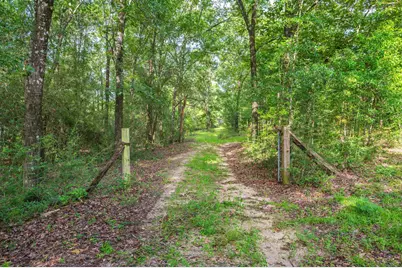 512 Hickory Tree Lane, Crestview, FL 32539 - Photo 3