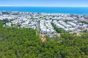 M17 Longtail Rd, Inlet Beach, FL 32461 - Photo 7