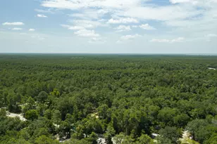 41 Frog Hill Rd, Freeport, FL 32439 - Photo 17