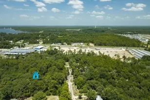 41 Frog Hill Rd, Freeport, FL 32439 - Photo 23