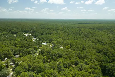41 Frog Hill Road, Freeport, FL 32439 - Photo 29