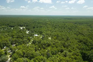 41 Frog Hill Rd, Freeport, FL 32439 - Photo 29
