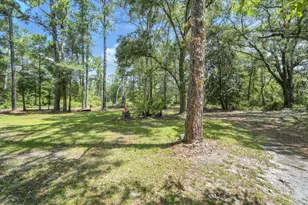 41 Frog Hill Rd, Freeport, FL 32439 - Photo 9
