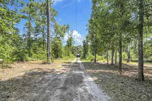 41 Frog Hill Rd, Freeport, FL 32439 - Photo 3