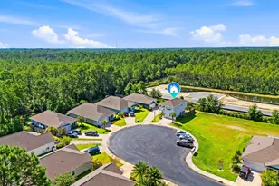 260 Southern Pnes Rd, Santa Rosa Beach, FL 32459 - Photo 43