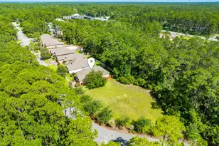 217 Cox Rd, Santa Rosa Beach, FL 32459 - Photo 41